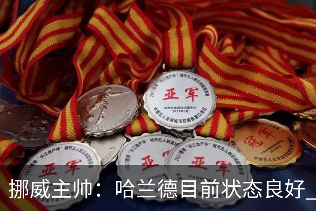 挪威主帅：哈兰德目前状态良好 他是世界上最好的射手